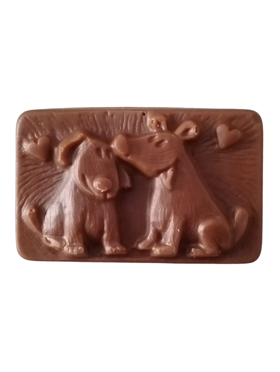 Pour les animaux